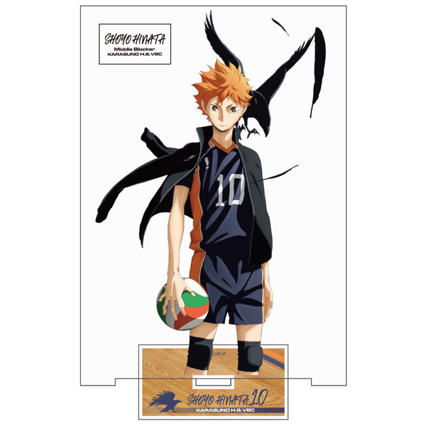 Shôyô Hinata Haikyuu Anime Character Paint By Numbers 