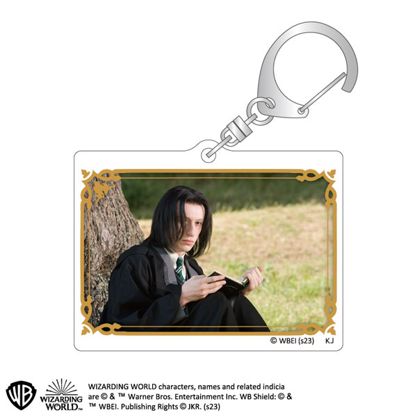 AmiAmi [Character & Hobby Shop] | Harry Potter Trading Acrylic