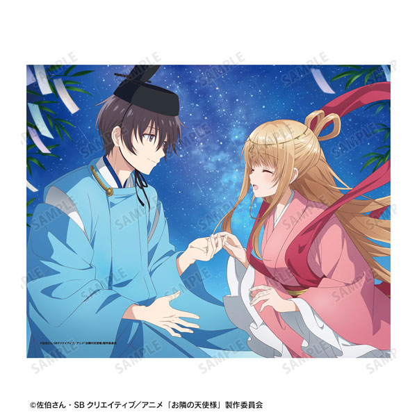 AmiAmi [Character & Hobby Shop]  TV Anime Mahoutsukai no Yome SEASON2  Canvas Board ver.B(Released)