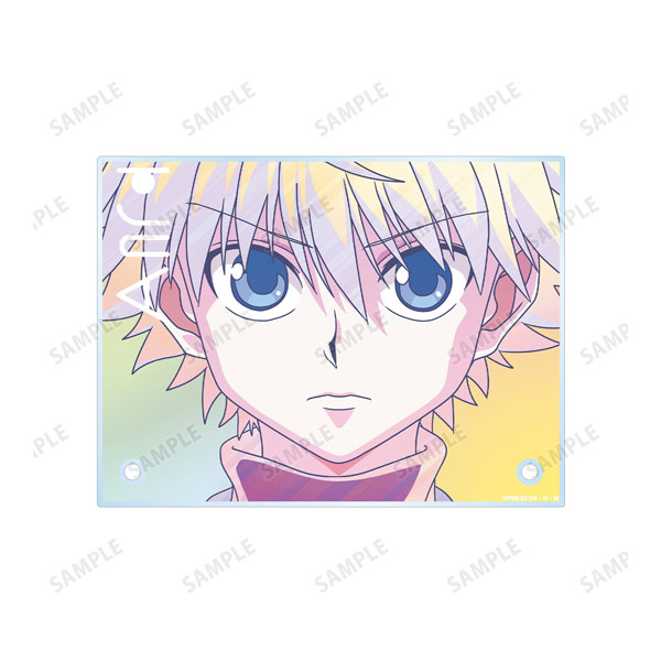 AmiAmi [Character & Hobby Shop]  Hunter x Hunter Trading Ani-Art