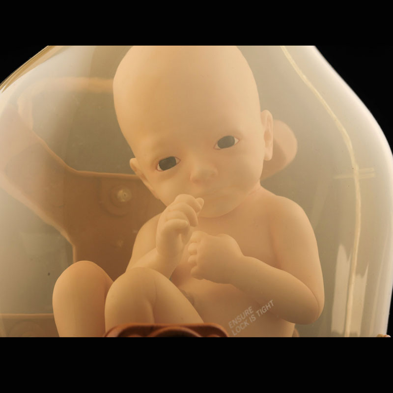 AmiAmi [Character & Hobby Shop] | DEATH STRANDING BBPOD 