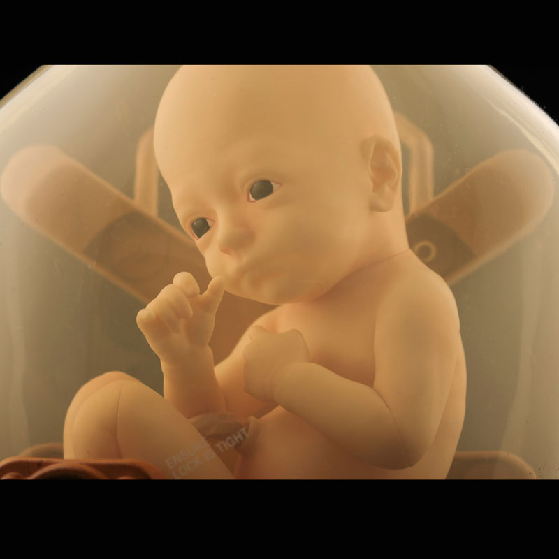 AmiAmi [Character & Hobby Shop] | DEATH STRANDING BBPOD 