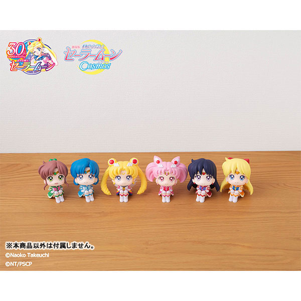 Sailor Moon A5 Clear Pocket - Cosmos - Moon