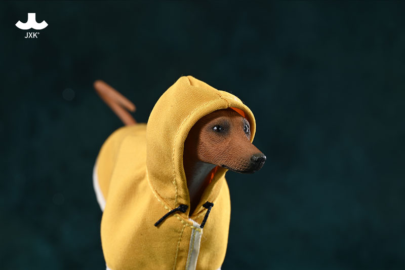 AmiAmi [Character & Hobby Shop] | 1/6 Azawakh D(Released)