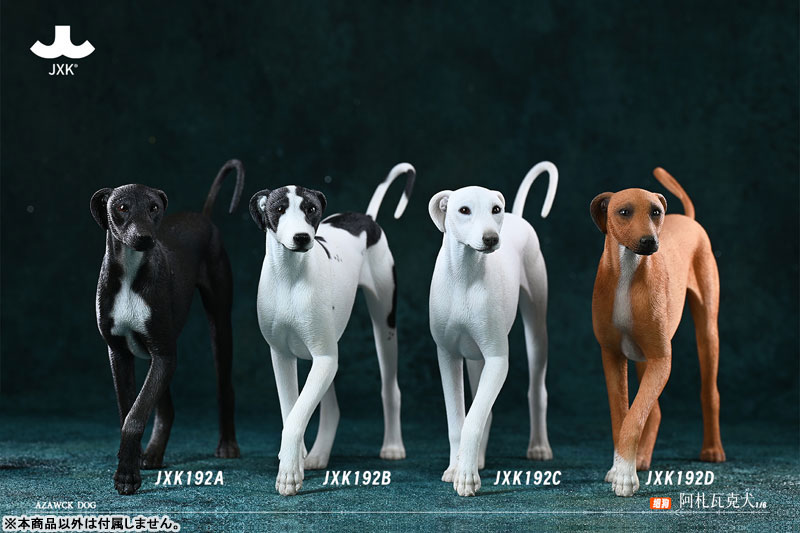 AmiAmi [Character & Hobby Shop] | 1/6 Azawakh D(Released)