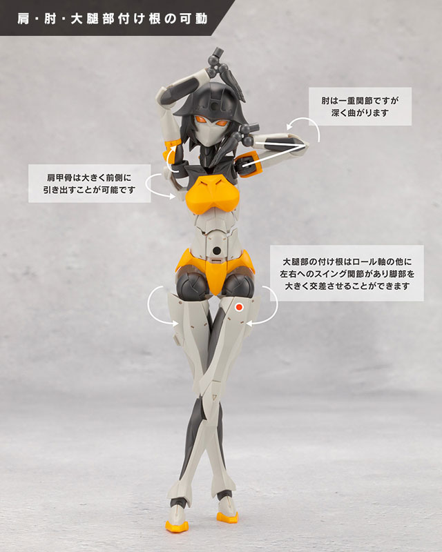 AmiAmi [Character & Hobby Shop] | UNLIMITED UNIVERSE