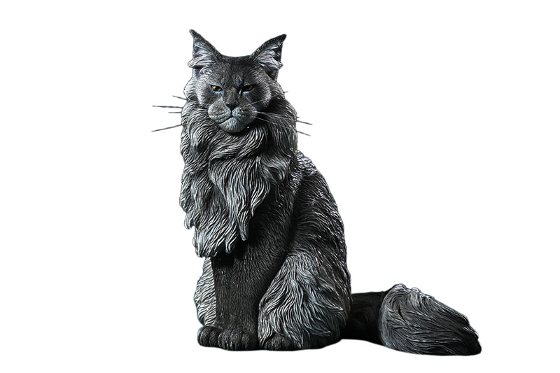 AmiAmi [Character & Hobby Shop] | 1/6 Maine Coon 2.0 B(Released)