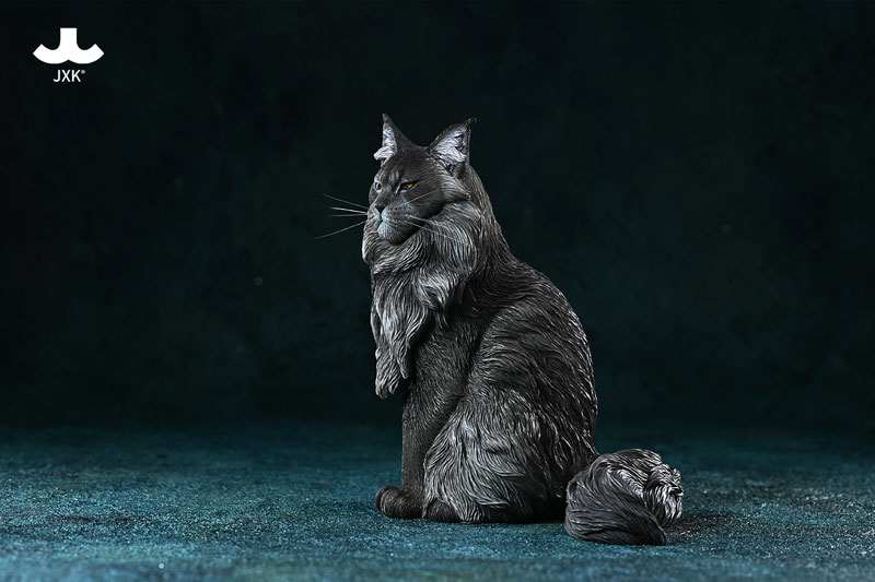 AmiAmi [Character & Hobby Shop] | 1/6 Maine Coon 2.0 B(Released)