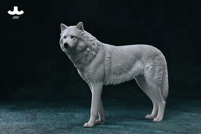 AmiAmi [Character & Hobby Shop] | 1/6 Arctic Wolf C(Provisional 