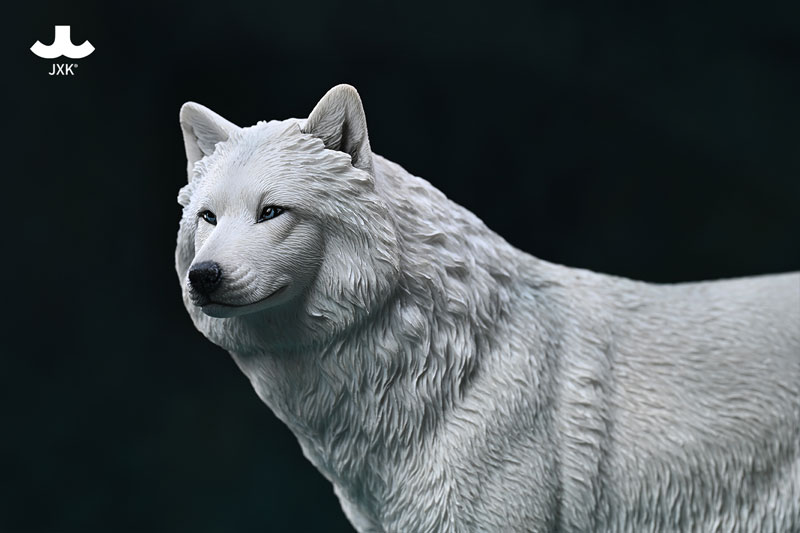 AmiAmi [Character & Hobby Shop] | 1/6 Arctic Wolf C(Provisional 