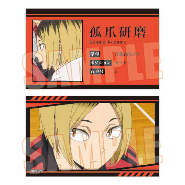 Haikyuu!! Jump Shop Online 10th Anniversary Fair Memory Snapshot Photo Card  EXTRA PARK Vol 1 SET