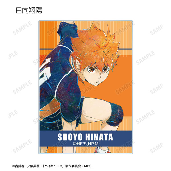 Aitai☆Kuji Haikyuu!! Anime Japan 2021 Toho Animation Postcard Book