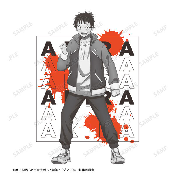 AmiAmi [Character & Hobby Shop] | TV Anime 