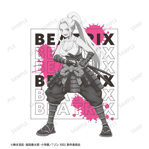 AmiAmi [Character & Hobby Shop] | TV Anime 