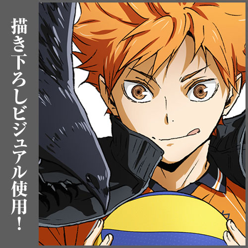 Haikyuu Manga Anime Hinata Shoyo Kageyama Tsukishima Kei Matte