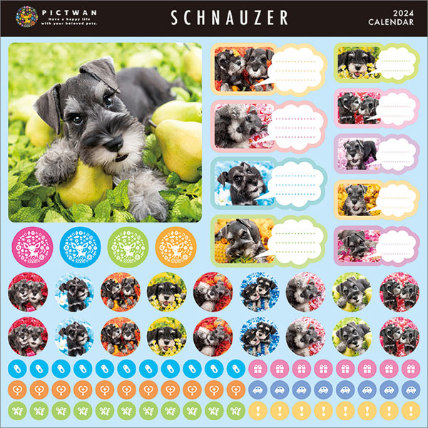 AmiAmi [Character & Hobby Shop] | Schnauzer 2024 Calendar(Released)