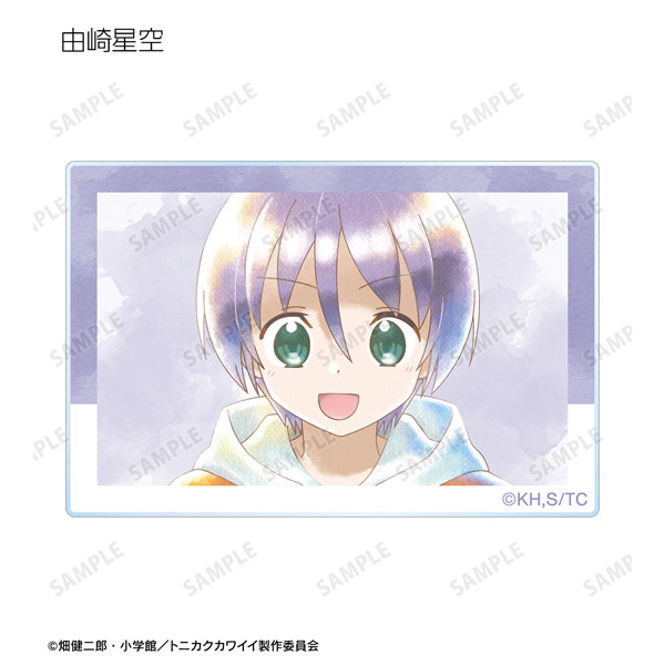 AmiAmi [Character & Hobby Shop]  TV Anime Fly Me To The Moon Trading  Ani-Art aqua label Acrylic Card 8Pack BOX(Pre-order)