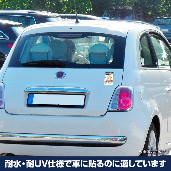 Fiat 500 Side Bands Right Left and Rear Stickers 