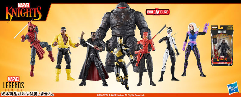 AmiAmi [Character & Hobby Shop] | 