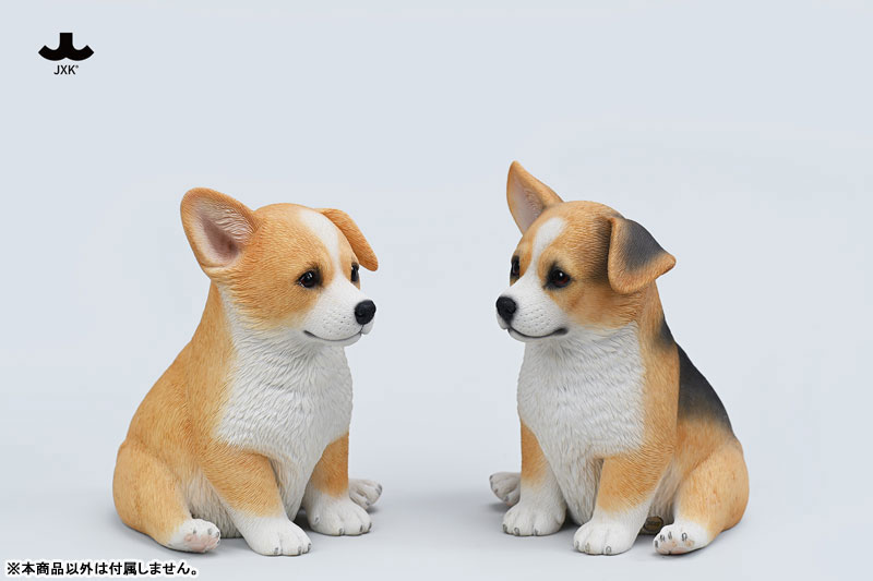 AmiAmi [Character & Hobby Shop] | Sitting Welsh Corgi C(Released)