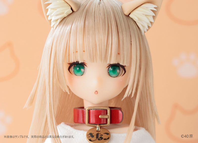 AmiAmi [Character & Hobby Shop] | [AmiAmi Exclusive Bonus
