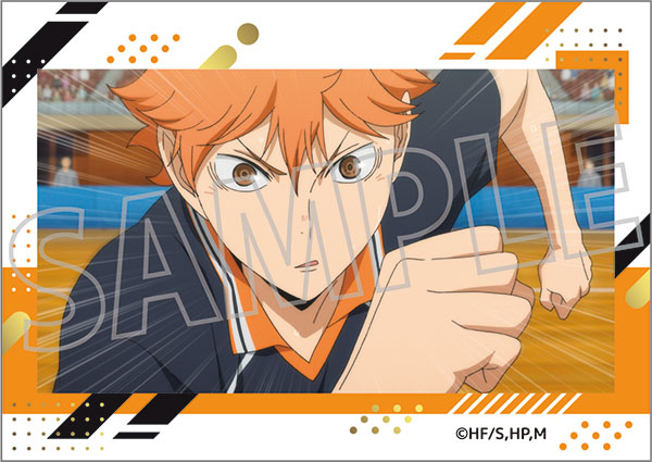 Haikyu!! (Season 3) Complete Collection