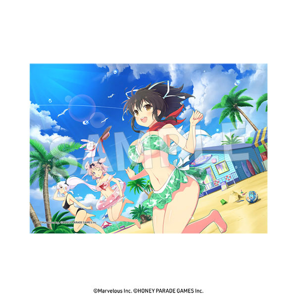 Dezaskin Senran Kagura Burst for Nintendo3DS LL Design 1 (Anime Toy) -  HobbySearch Anime Goods Store