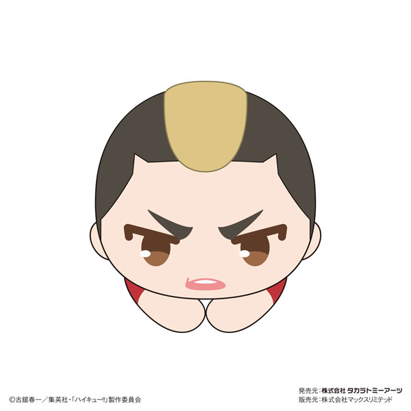 AmiAmi [Character & Hobby Shop] | Haikyuu!! Hug Chara