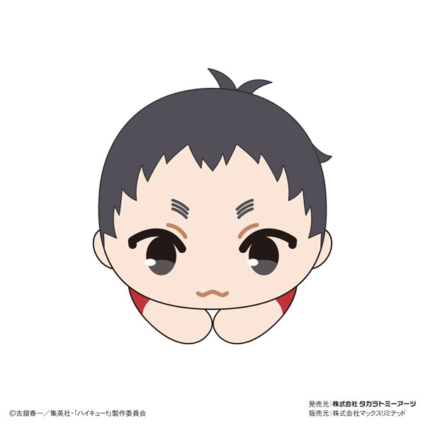 AmiAmi [Character & Hobby Shop] | Haikyuu!! Hug Chara