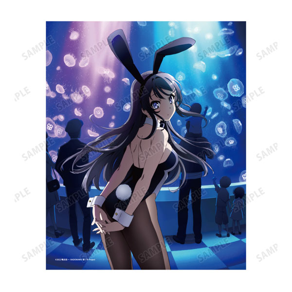 Rascal Does Not Dream of Bunny Girl Senpai 3rd sequel releases key visual