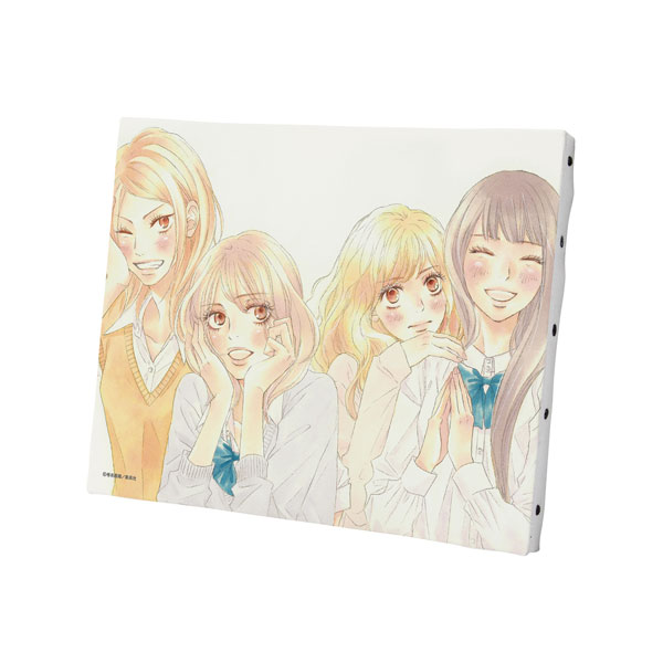 AmiAmi [Character & Hobby Shop] | Kimi ni Todoke episode88