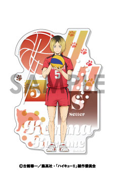 AmiAmi [Character & Hobby Shop]  Haikyuu!! TO THE TOP Scene Photo Clear  File Nobuyuki Kai(Released)