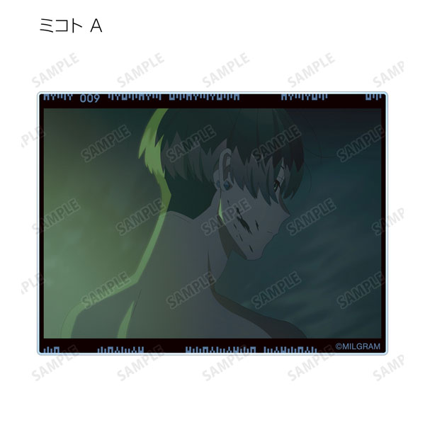AmiAmi [Character & Hobby Shop] | MILGRAM Trading MV Acrylic Card