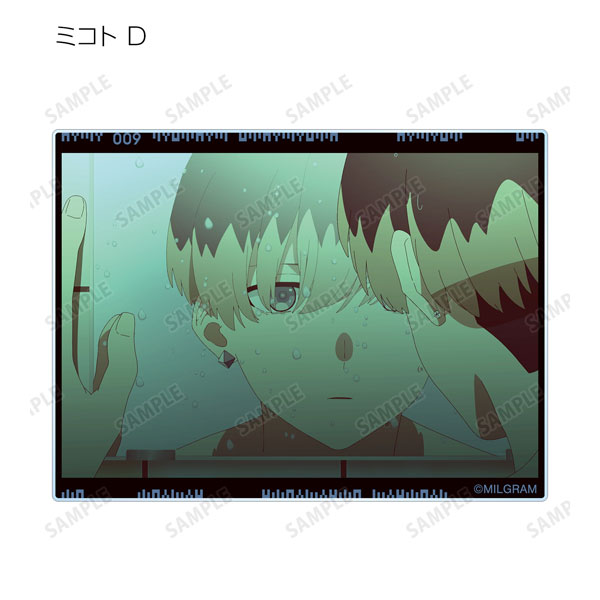 AmiAmi [Character & Hobby Shop] | MILGRAM Trading MV Acrylic Card