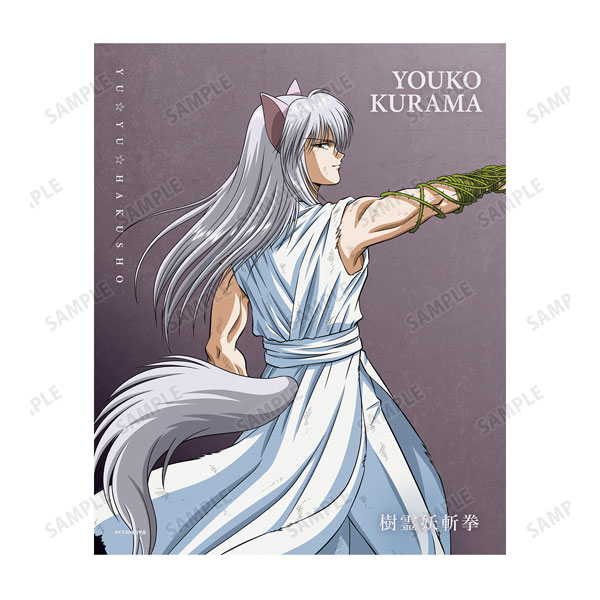 AmiAmi [Character & Hobby Shop] | YuYu Hakusho New Illustration