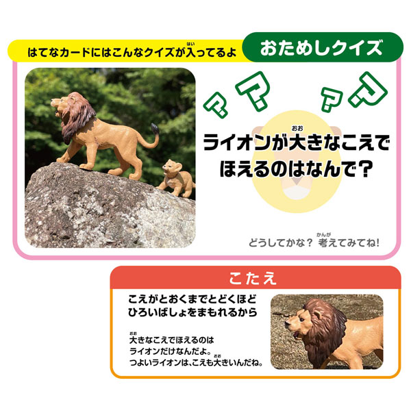 AmiAmi [Character & Hobby Shop] | Ania Animal Parents and Kids 