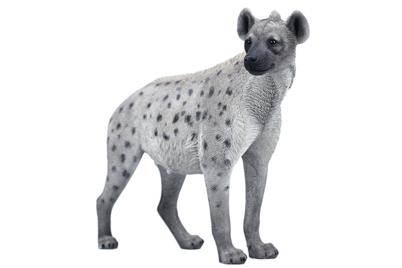 朱羅 hyena AmiAmi [Character & Hobby Shop] | 1/6 Hyena B3(Released)