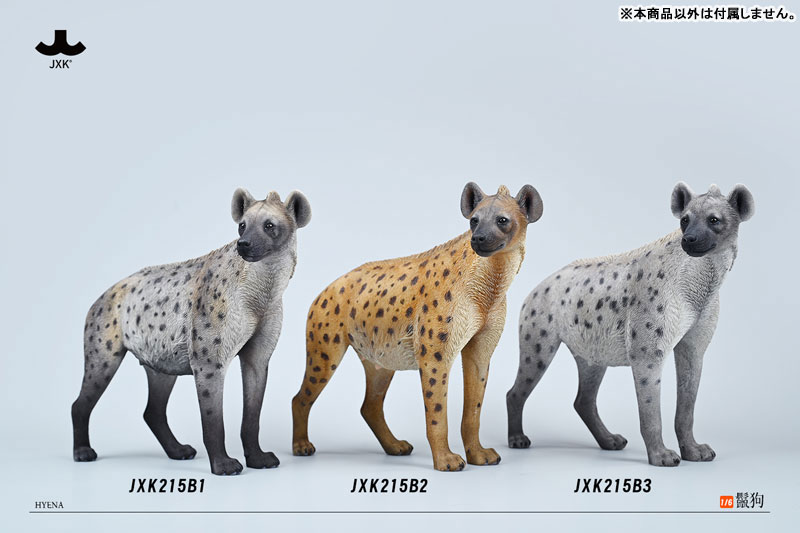 AmiAmi [Character & Hobby Shop] | 1/6 Hyena B3(Released)