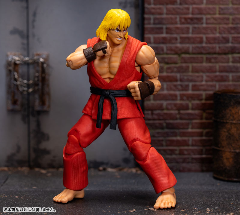 AmiAmi [Character & Hobby Shop] | Street Fighter Action