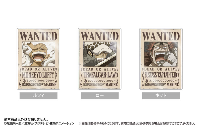 AmiAmi [Character & Hobby Shop] | TV Anime 