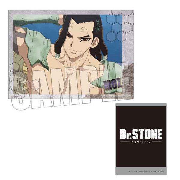 AmiAmi [Character & Hobby Shop] | Collection Card Dr. STONE 10Pack