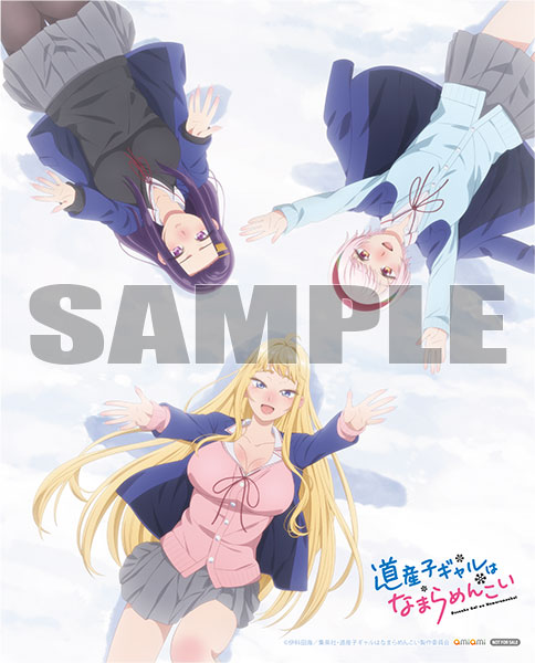 AmiAmi [Character & Hobby Shop] | BD Dosanko Gal wa Namaramenkoi