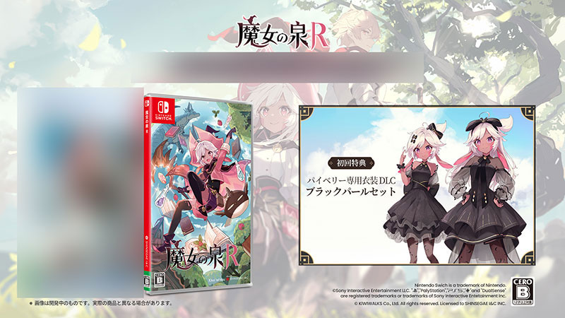 AmiAmi [Character & Hobby Shop] | [Bonus] Nintendo Switch Witch 