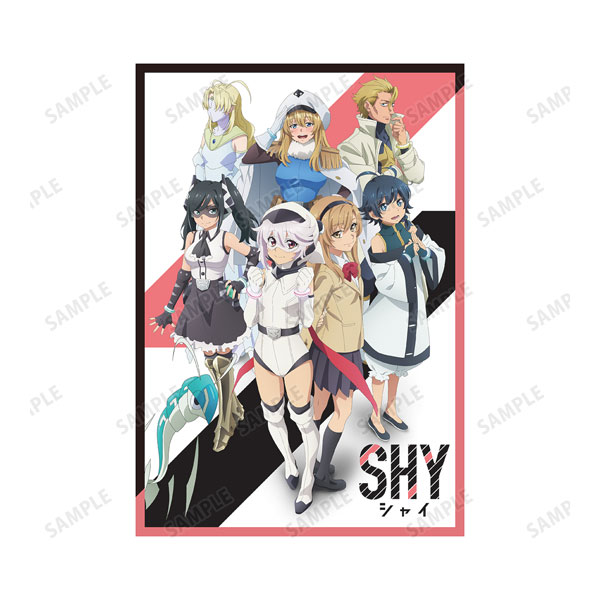 AmiAmi [Character & Hobby Shop] | TV Anime 