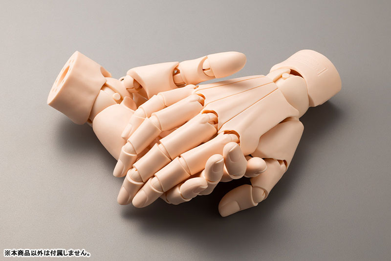 AmiAmi [Character & Hobby Shop] | ARTIST SUPPORT ITEM Takahiro