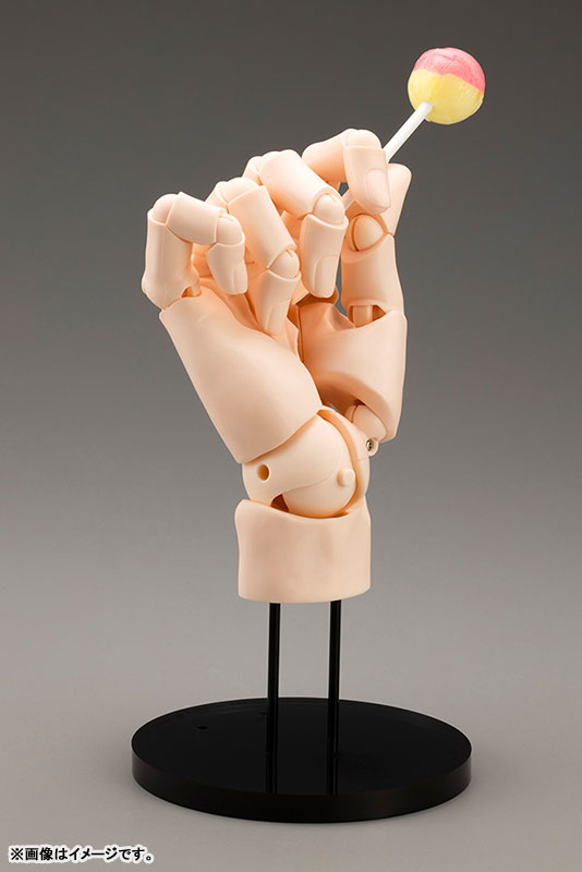 AmiAmi [Character & Hobby Shop] | ARTIST SUPPORT ITEM Takahiro