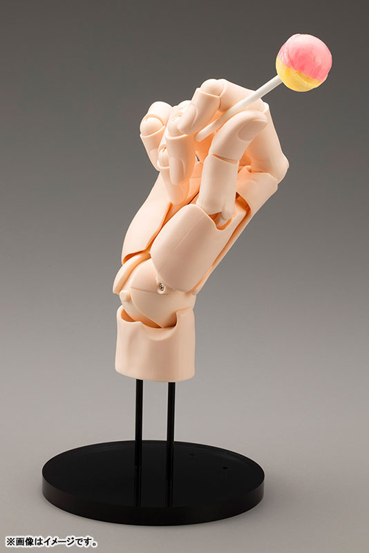 Amazon.com: Kotobukiya ARTIST SUPPORT ITEM 1/1 Scale Hand