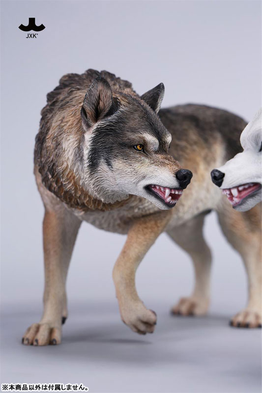 『5年保証』 & [Character AmiAmi Hobby C(Released) Wolf Dire 1/6 | Shop] K-POP・アジア