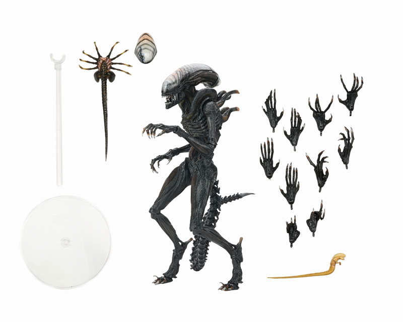 Alien: Romulus Xenomorph ネカ スコーチド エイリアン Alien: Romulus Bundle – NECA