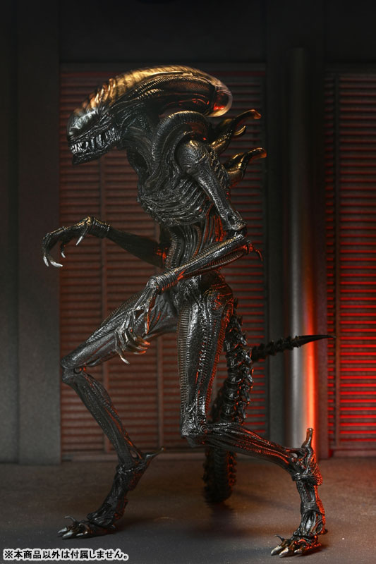 Alien: Romulus Xenomorph ネカ スコーチド エイリアン AmiAmi [Character & Hobby Shop] | Alien: Romulus / Scorched